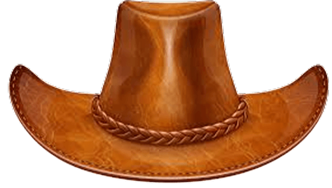 Brown Cap